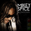 Mike Spice - Slow Down